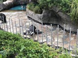 サンシャイン水族館に投稿された画像（2020/9/15）