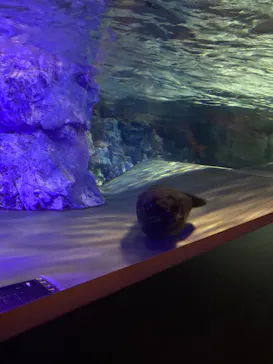 すみだ水族館に投稿された画像（2020/9/15）