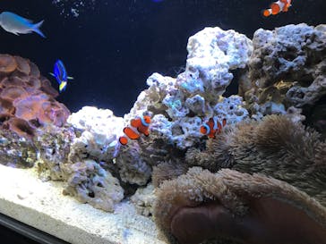 京都水族館に投稿された画像（2020/9/15）