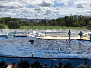 京都水族館に投稿された画像（2020/9/15）