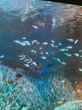 サンシャイン水族館に投稿された画像（2020/9/15）
