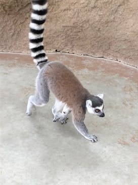 神戸どうぶつ王国に投稿された画像（2020/9/15）