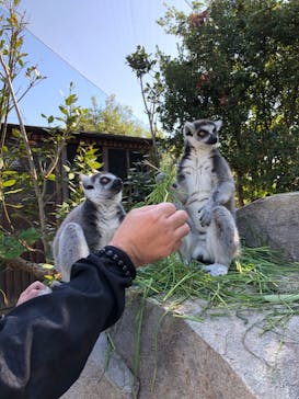 神戸どうぶつ王国に投稿された画像（2020/9/15）