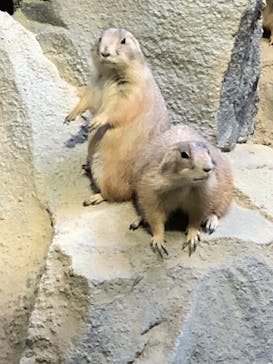 神戸どうぶつ王国に投稿された画像（2020/9/15）