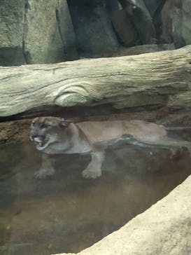 神戸どうぶつ王国に投稿された画像（2020/9/15）