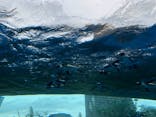 サンシャイン水族館に投稿された画像（2020/9/15）