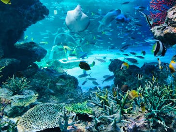 サンシャイン水族館に投稿された画像（2020/9/16）