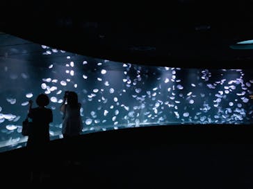 サンシャイン水族館に投稿された画像（2020/9/16）