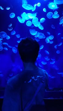 サンシャイン水族館に投稿された画像（2020/9/16）