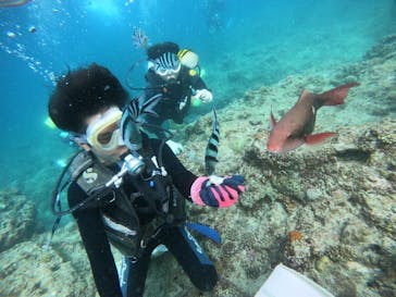 武藤潜水に投稿された画像（2020/9/16）