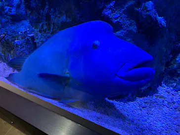 すみだ水族館に投稿された画像（2020/9/16）
