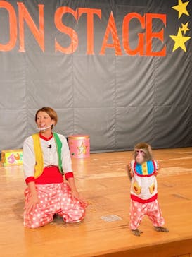 那須ワールドモンキーパークに投稿された画像（2020/9/16）