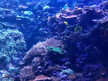 大分マリーンパレス水族館 「うみたまご」に投稿された画像（2020/9/16）