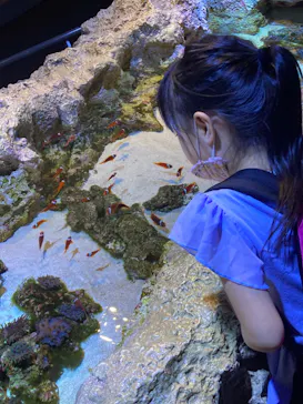 すみだ水族館に投稿された画像（2020/9/16）