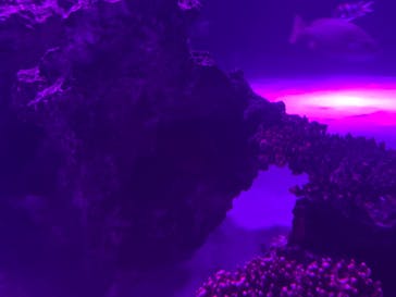 サンシャイン水族館に投稿された画像（2020/9/16）