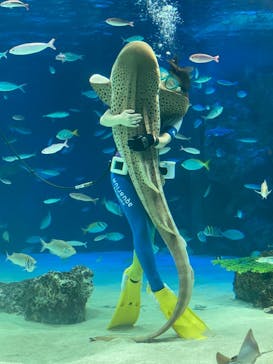 サンシャイン水族館に投稿された画像（2020/9/16）