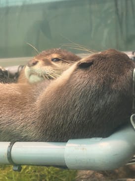 サンシャイン水族館に投稿された画像（2020/9/16）