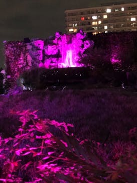 サンシャイン水族館に投稿された画像（2020/9/16）