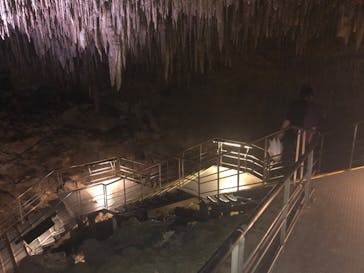 おきなわワールドに投稿された画像（2020/9/17）