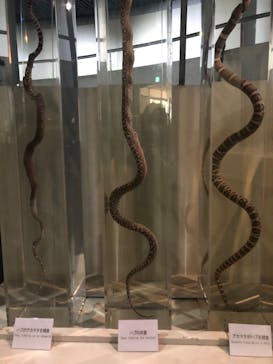 おきなわワールドに投稿された画像（2020/9/17）