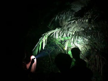 おきなわワールドに投稿された画像（2020/9/17）