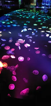 すみだ水族館に投稿された画像（2020/9/17）