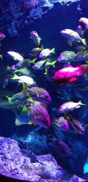 すみだ水族館に投稿された画像（2020/9/17）