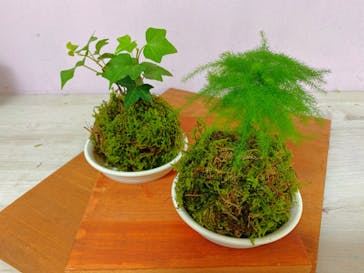 Florilege（フロリレージュ）に投稿された画像（2020/9/17）