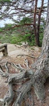 昇仙峡ロープウェイに投稿された画像（2020/9/17）