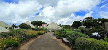 伊豆シャボテン動物公園に投稿された画像（2020/9/17）