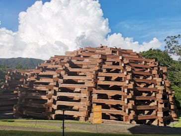 彫刻の森美術館に投稿された画像（2020/9/17）