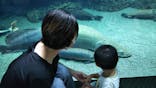 大分マリーンパレス水族館 「うみたまご」に投稿された画像（2020/9/17）