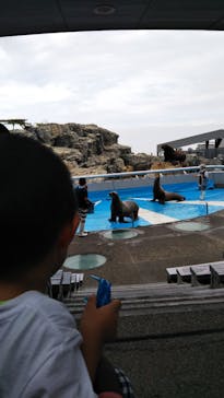 大分マリーンパレス水族館 「うみたまご」に投稿された画像（2020/9/17）