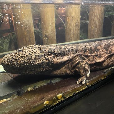 京都水族館に投稿された画像（2020/9/17）