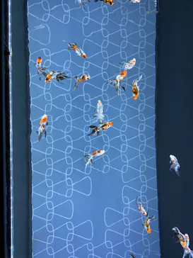 すみだ水族館に投稿された画像（2020/9/17）