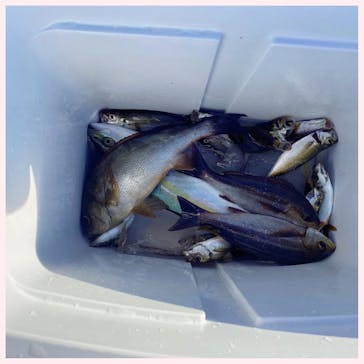 With Ocean（ウィズオーシャン）に投稿された画像（2020/9/17）