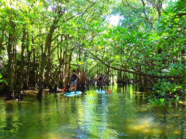 石垣島 ADVENTURE PiPi（イシガキジマアドベンチャーピピ）に投稿された画像（2020/9/17）