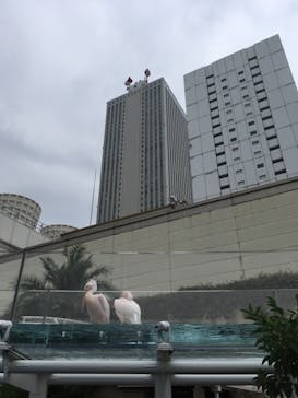 サンシャイン水族館に投稿された画像（2020/9/17）