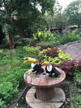 NESTA RESORT KOBE（ネスタリゾート神戸）に投稿された画像（2020/9/17）