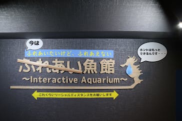 ゼロ距離水族館 伊勢シーパラダイスに投稿された画像（2020/9/17）