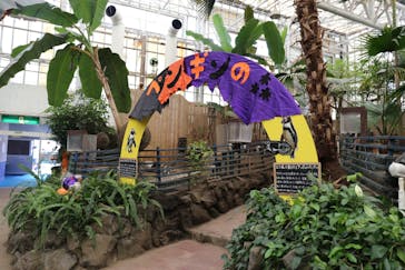 ゼロ距離水族館 伊勢シーパラダイスに投稿された画像（2020/9/17）