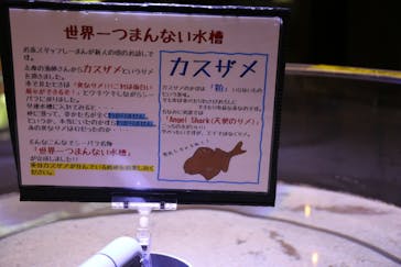ゼロ距離水族館 伊勢シーパラダイスに投稿された画像（2020/9/17）