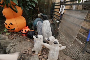 ゼロ距離水族館 伊勢シーパラダイスに投稿された画像（2020/9/17）