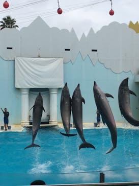 株式会社Gに投稿された画像（2020/9/18）