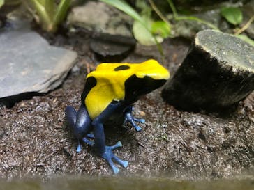 サンシャイン水族館に投稿された画像（2020/9/18）