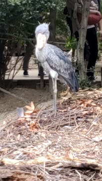 神戸どうぶつ王国に投稿された画像（2020/9/18）
