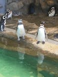 しながわ水族館に投稿された画像（2020/9/18）