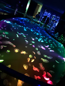 すみだ水族館に投稿された画像（2020/9/18）