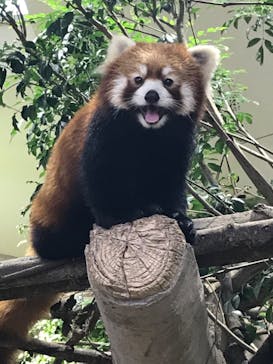 那須どうぶつ王国に投稿された画像（2020/9/18）