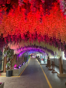 東京サマーランドに投稿された画像（2020/9/18）